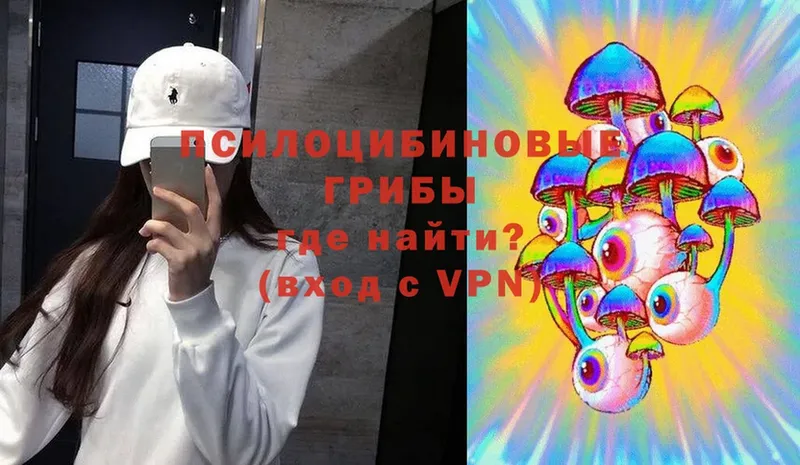 Галлюциногенные грибы Cubensis  Агидель 